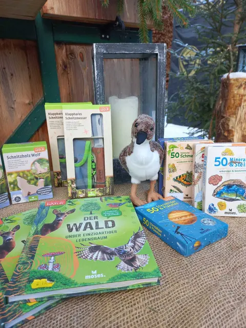 Hinaus in die Natur | Foto: Fotos:  Renate Kronsteiner