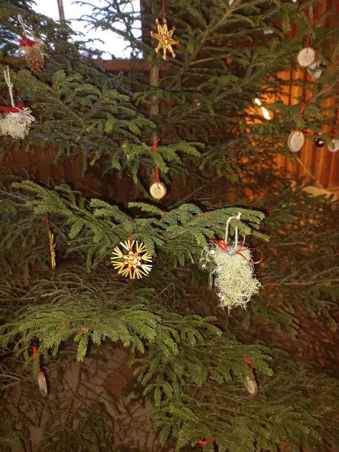 Foto: Fotos:  Renate Kronsteiner