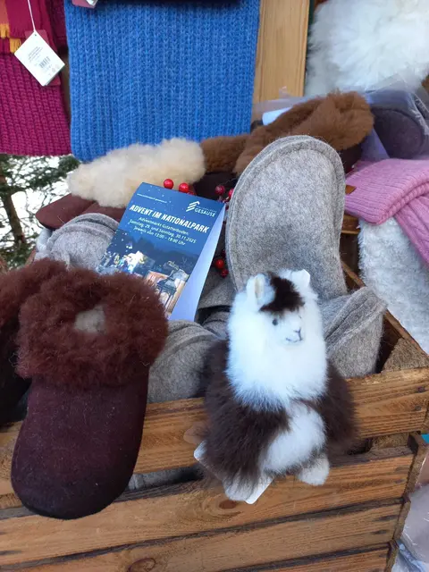 Foto: Fotos:  Renate Kronsteiner