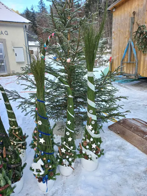 Weihnachtsdeko aus der Natur | Foto: Fotos:  Renate Kronsteiner