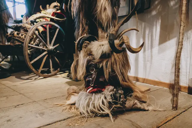 Foto: Stefanie Oberhauser