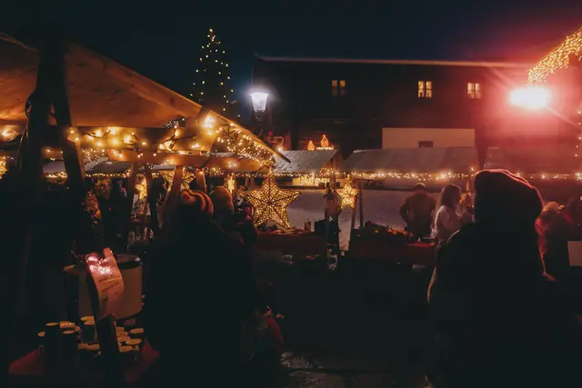 Foto: Stefanie Oberhauser