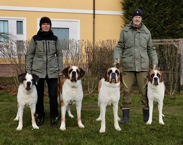 4 Generationen: Rana vom Fugerhof, Brunhilde vom Wasserwirt, Fini vom Wasserwirt, Ivy Iselin vom Wasserwirt | Foto: Alexandra Goll