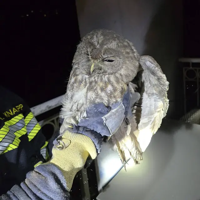 Foto: FF Klosterneuburg Kritzendorf