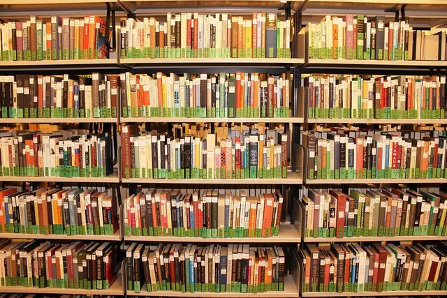 Auch die Ausleihe von Büchern in städtischen Büchereien wird teurer werden.  | Foto: Pixabay