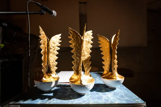 Der Hauptpreis wird in drei Kategorien vergeben.  | Foto: Michael Mazohl