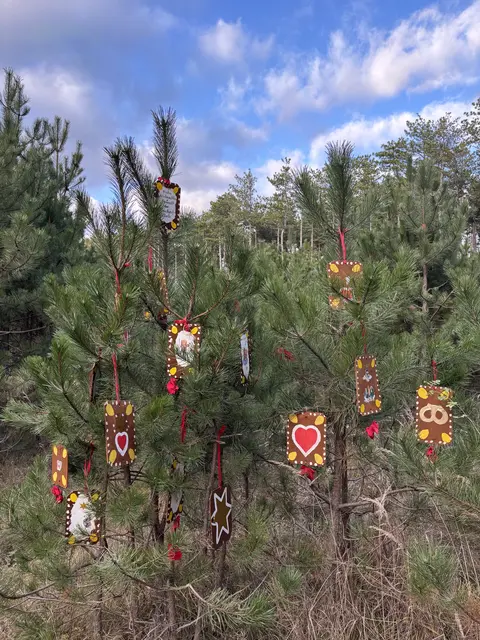 Im Föhrenwald. | Foto: Santrucek