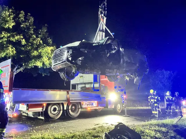 Ein 51-jähriger Mann aus dem Bezirk Jennersdorf ist nach dem tödlichen Verkehrsunfall zu 15 Monaten Haft verurteilt worden, fünf davon unbedingt.  | Foto: Bezirksfeuerwehrkommando Jennersdorf