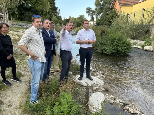 Bereits im Sommer zeigte Bürgermeister Bernhard Zwielehner bei einem Rundgang dem Klimalandesrat Stefan Kaineder, wo die Brücke entstehen soll. | Foto: MB/Bernadette Wiesbauer