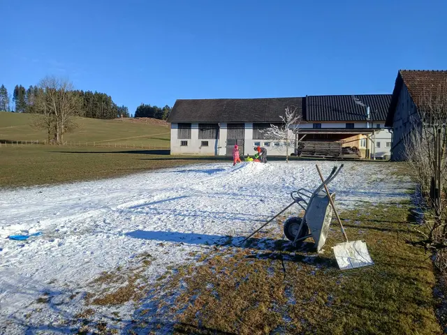 Vor allem Kinder genießen die weiße Pracht. | Foto: Gassner Snow Systems