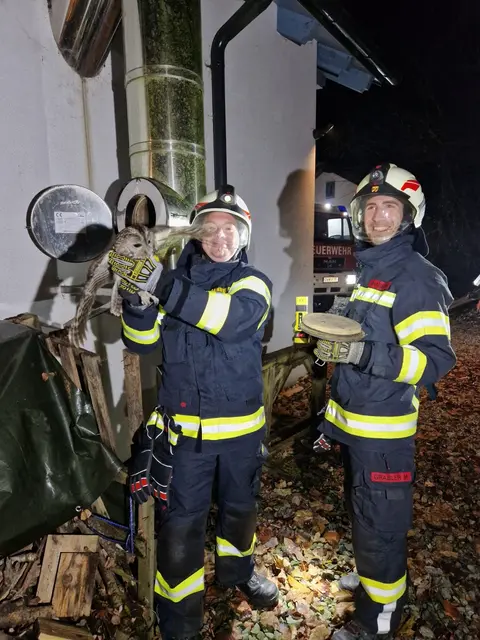 Die Feuerwehr Kohfidisch befreite einen Waldkauz aus seiner misslichen Lage. | Foto: Feuerwehr Kohfidisch