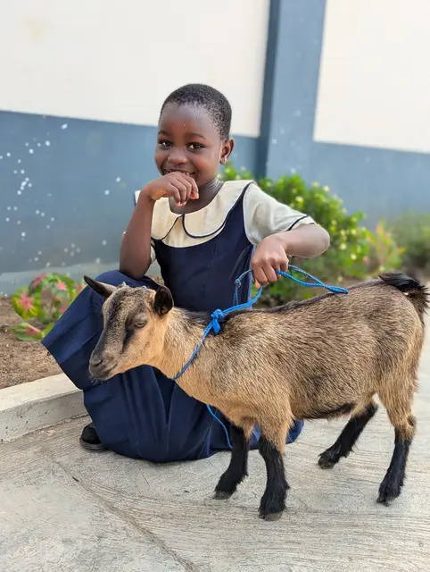 Aktion Määärry Christmas von Ora international in Andorf: Tiere bilden eine verlässliche Einkommensquelle und Nahrungsgrundlage für die Beschenkten. Dadurch haben die Kinder bessere Bildungschancen, weil ihr Schulgeld und die laufenden Kosten für Schuluniformen und Unterrichtsmaterialien abgedeckt sind.  | Foto: ORA international