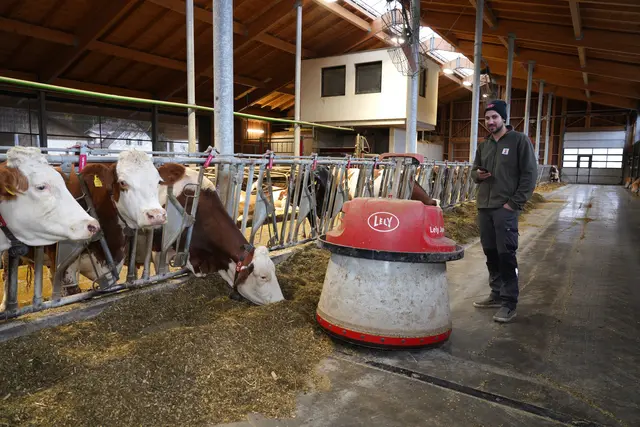Zukunftsweisend: Thomas Petschar übernahm den landwirtschaftlichen Betrieb von seinem Vater und setzt auf technische Hilfen wie diesen Futterschieber.