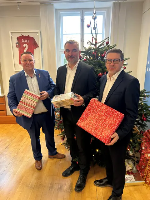 Die Vertreterinnen und Vertreter der SPÖ Bezirksorganisation Oberpullendorf bei der Übergabe der Weihnachtsgeschenke. | Foto: SPÖ Bezirksorganisation Oberpullendorf