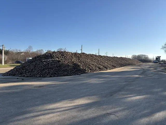 Foto: Victoria Edlinger