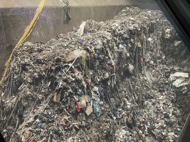 Etliche Tonnen Müll werden Jahr für Jahr produziert und weggeschmissen. Jeder Einzelne ist in der Verantwortung zur Besserung.  | Foto: Victoria Edlinger