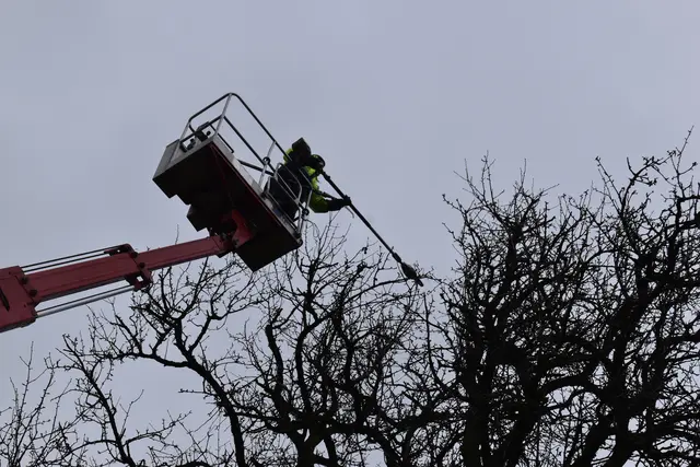 Engelbert Wieser in Aktion: Altbaumschnitt-Maßnahmen beim Mostlandhof in Schauboden | Foto: Roland Mayr/MeinBezirk Scheibbs