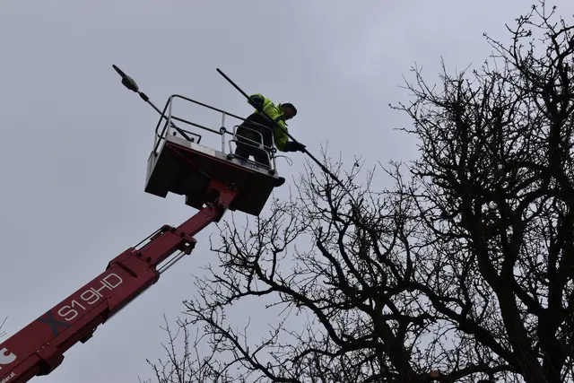 Engelbert Wieser in Aktion: Altbaumschnitt-Maßnahmen beim Mostlandhof in Schauboden | Foto: Roland Mayr/MeinBezirk Scheibbs