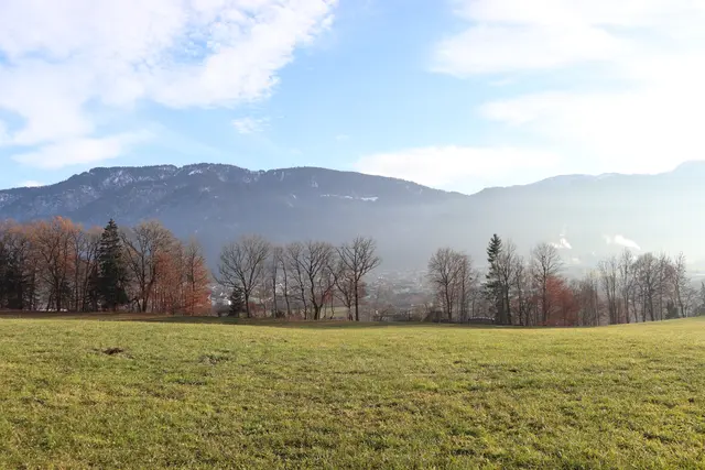 Foto: Christiane Nimpf