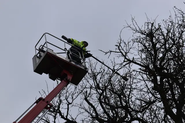 Engelbert Wieser in Aktion: Altbaumschnitt-Maßnahmen beim Mostlandhof in Schauboden | Foto: Roland Mayr/MeinBezirk Scheibbs