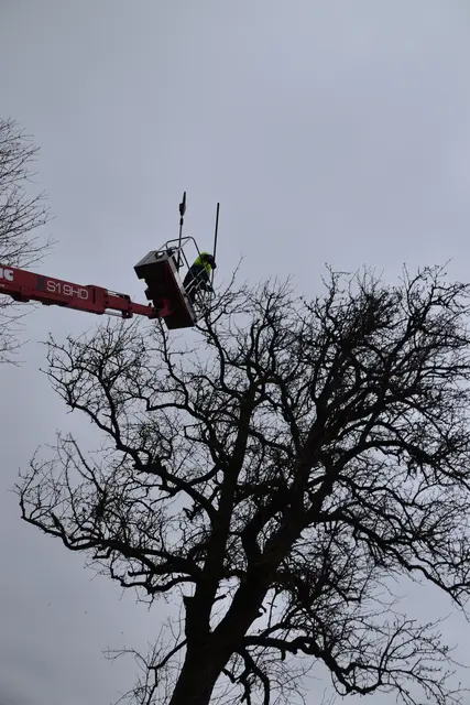 Engelbert Wieser in Aktion: Altbaumschnitt-Maßnahmen beim Mostlandhof in Schauboden | Foto: Roland Mayr/MeinBezirk Scheibbs