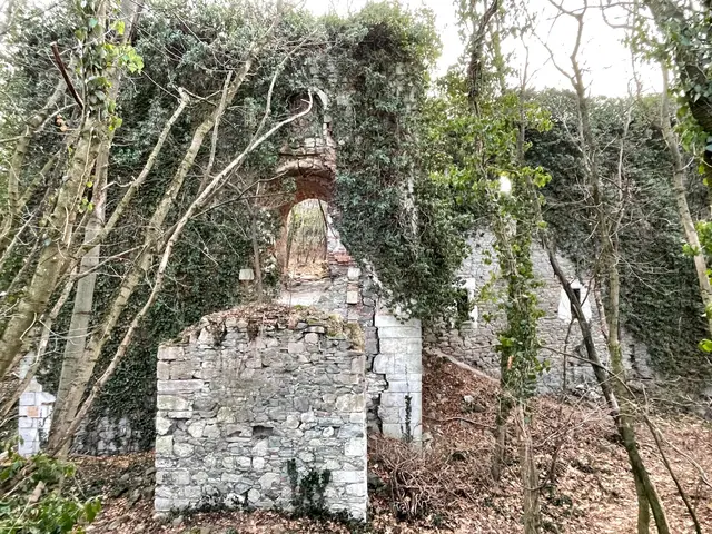 Reste der Zugbrücke in der Ruine Scharfeneck | Foto: Markus König