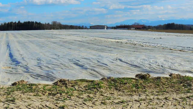 Am 9. Dezember findet ein Onlinevortrag zum Thema Plastik im Boden statt. | Foto: Renate Leitinger