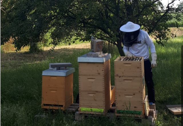 Jung-Imker Jonathan Maurer aus Röschitz holte sich seinen ersten Preis auf der Messe in Wieselburg. | Foto: Privat