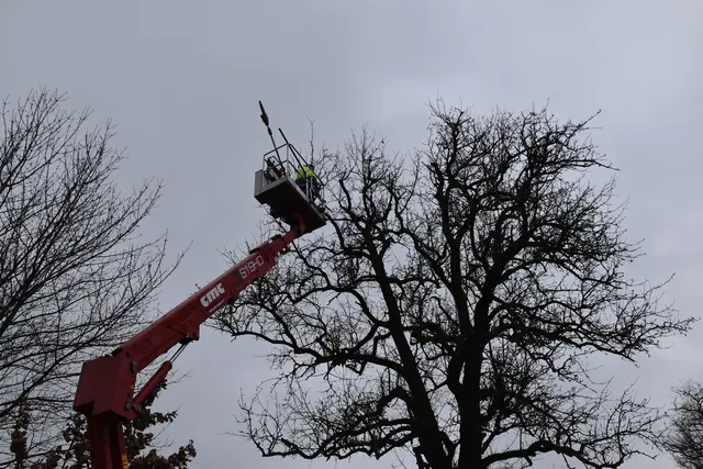 Engelbert Wieser in Aktion: Altbaumschnitt-Maßnahmen beim Mostlandhof in Schauboden | Foto: Roland Mayr/MeinBezirk Scheibbs