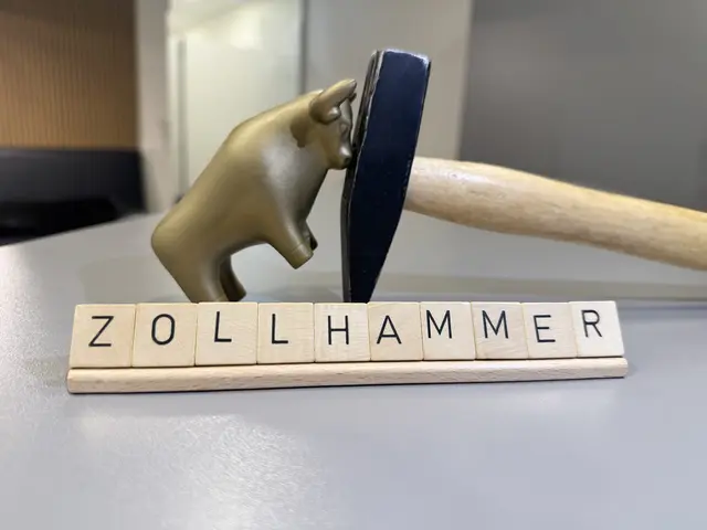 "Zollhammer" wurde zum Börsenunwort 2025 gekürt. | Foto: Wiener Börse