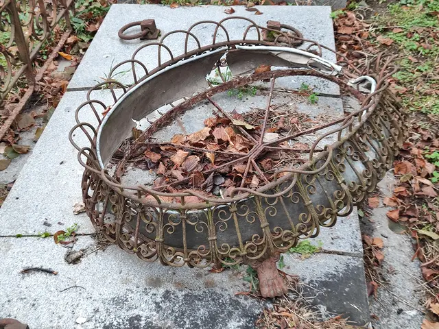 Der Zahn der Zeit... | Foto: I.Wozonig