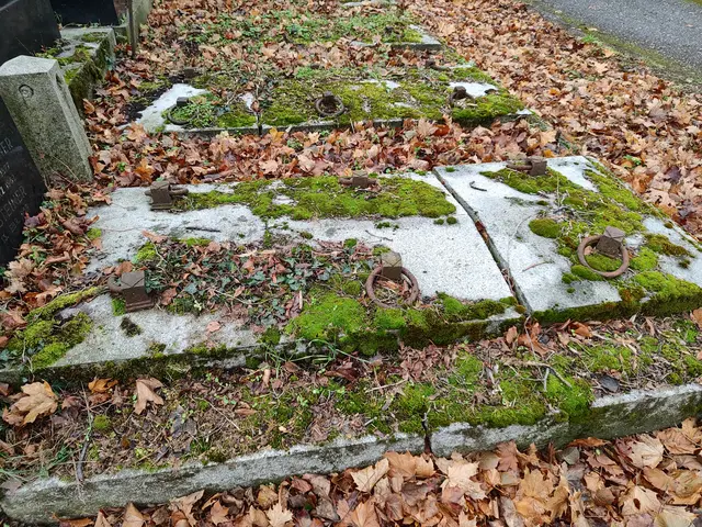 Winterruhe... | Foto: I.Wozonig