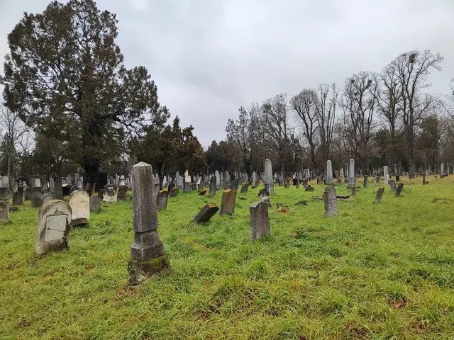 Gräber für die Ewigkeit... | Foto: I.Wozonig