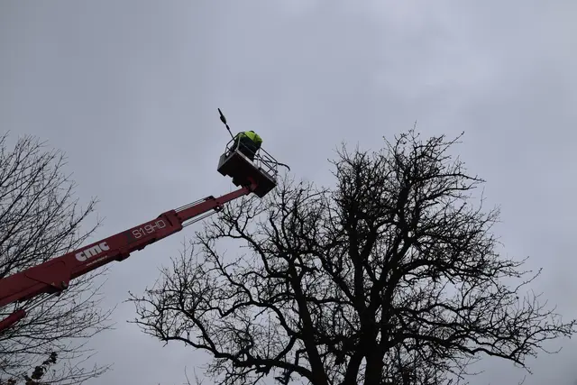 Engelbert Wieser in Aktion: Altbaumschnitt-Maßnahmen beim Mostlandhof in Schauboden | Foto: Roland Mayr/MeinBezirk Scheibbs