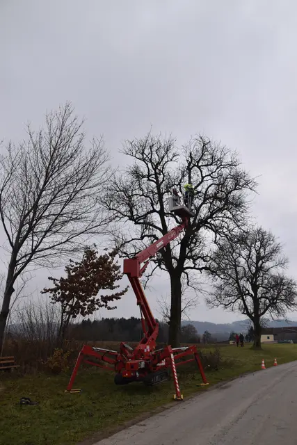 Engelbert Wieser in Aktion: Altbaumschnitt-Maßnahmen beim Mostlandhof in Schauboden | Foto: Roland Mayr/MeinBezirk Scheibbs