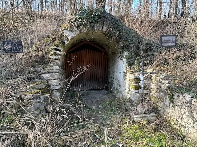 Die Überreste des berüchtigten Waldgasthofs zur Hinterbrühel.  | Foto: Markus König