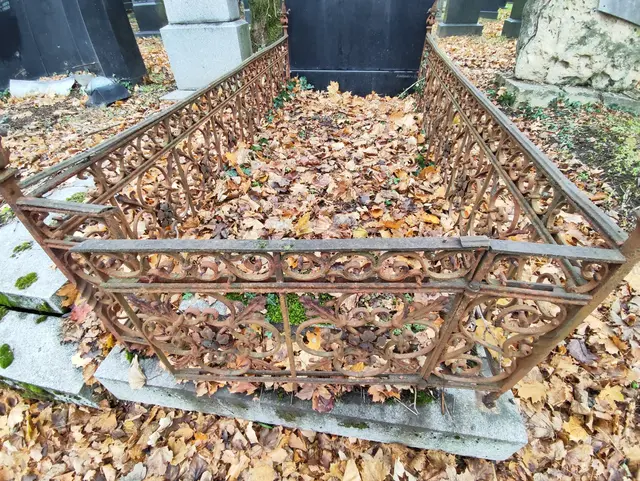 Die Herbstblätter decken die Grabstellen zu... | Foto: I.Wozonig