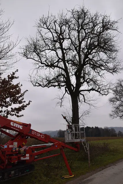 Geländegängige Raupen-Arbeitsbühne für Schnittmaßnahmen in der Region | Foto: Roland Mayr/MeinBezirk Scheibbs