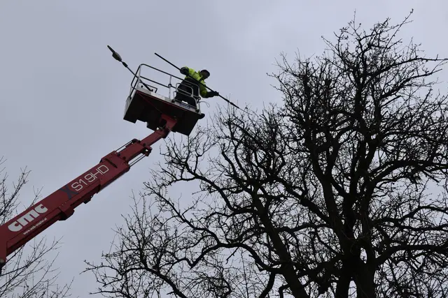 Engelbert Wieser in Aktion: Altbaumschnitt-Maßnahmen beim Mostlandhof in Schauboden | Foto: Roland Mayr/MeinBezirk Scheibbs