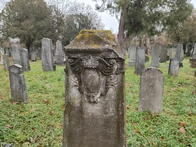 So viele Grabreihen, wie viele Tränen hier wohl geweint wurden? | Foto: I.Wozonig