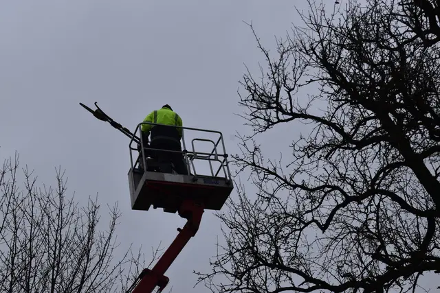 Engelbert Wieser in Aktion: Altbaumschnitt-Maßnahmen beim Mostlandhof in Schauboden | Foto: Roland Mayr/MeinBezirk Scheibbs
