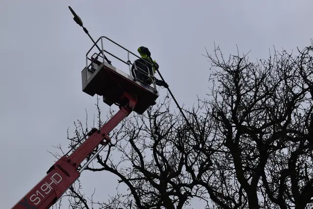Engelbert Wieser in Aktion: Altbaumschnitt-Maßnahmen beim Mostlandhof in Schauboden | Foto: Roland Mayr/MeinBezirk Scheibbs