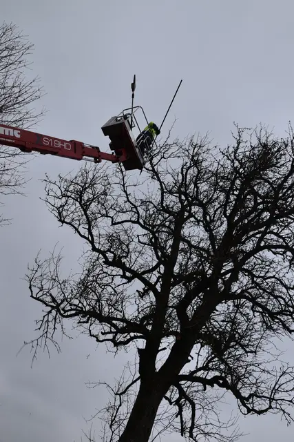 Engelbert Wieser in Aktion: Altbaumschnitt-Maßnahmen beim Mostlandhof in Schauboden | Foto: Roland Mayr/MeinBezirk Scheibbs