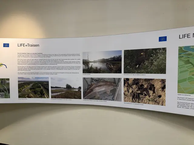 Foto: Victoria Edlinger