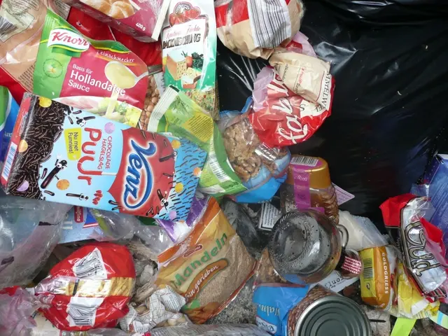 Auch jede Menge Lebensmittel finden sich regelmäßig im Restmüll. | Foto: GVA Mödling