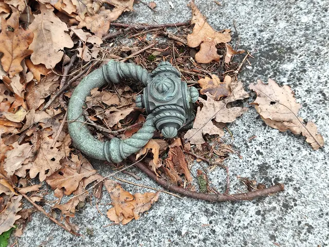 Dekorative Kleinode... | Foto: I.Wozonig