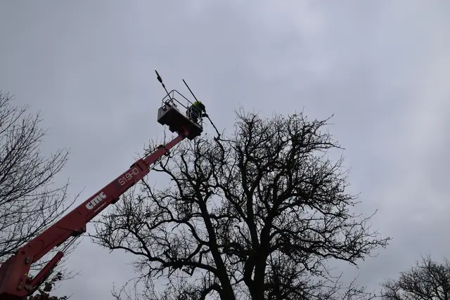 Engelbert Wieser in Aktion: Altbaumschnitt-Maßnahmen beim Mostlandhof in Schauboden | Foto: Roland Mayr/MeinBezirk Scheibbs