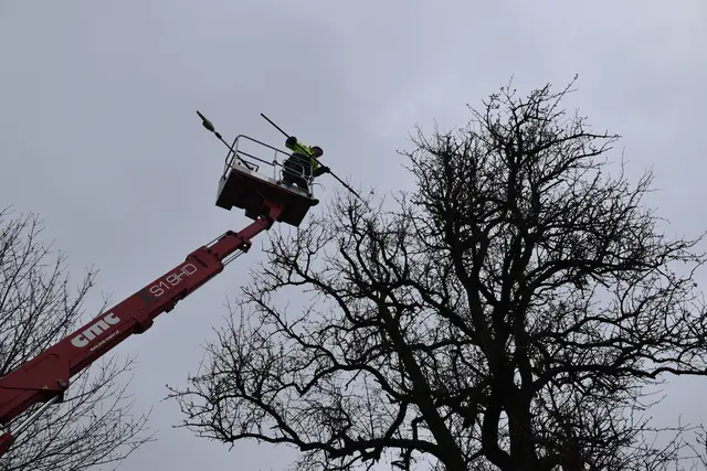Engelbert Wieser in Aktion: Altbaumschnitt-Maßnahmen beim Mostlandhof in Schauboden | Foto: Roland Mayr/MeinBezirk Scheibbs