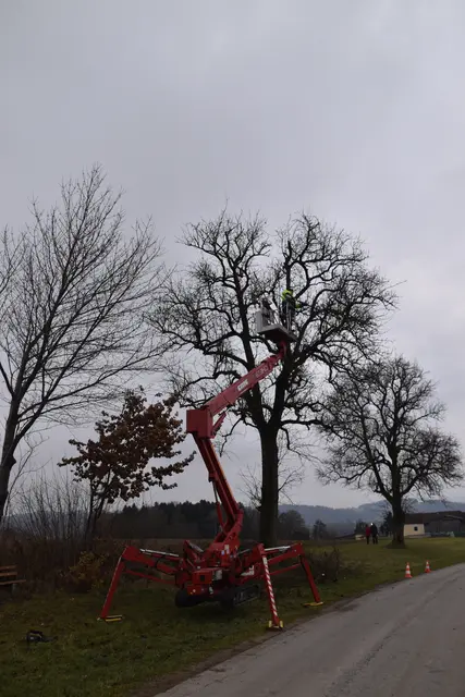 Engelbert Wieser in Aktion: Altbaumschnitt-Maßnahmen beim Mostlandhof in Schauboden | Foto: Roland Mayr/MeinBezirk Scheibbs