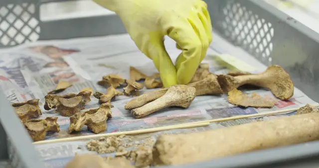 Erste Untersuchungen an den Knochen konnten bereits abgeschlossen werden.  | Foto: Videostill © Pavel Cuzuioc